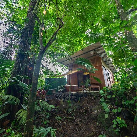 Apartamento The Frog House La Fortuna Exterior foto
