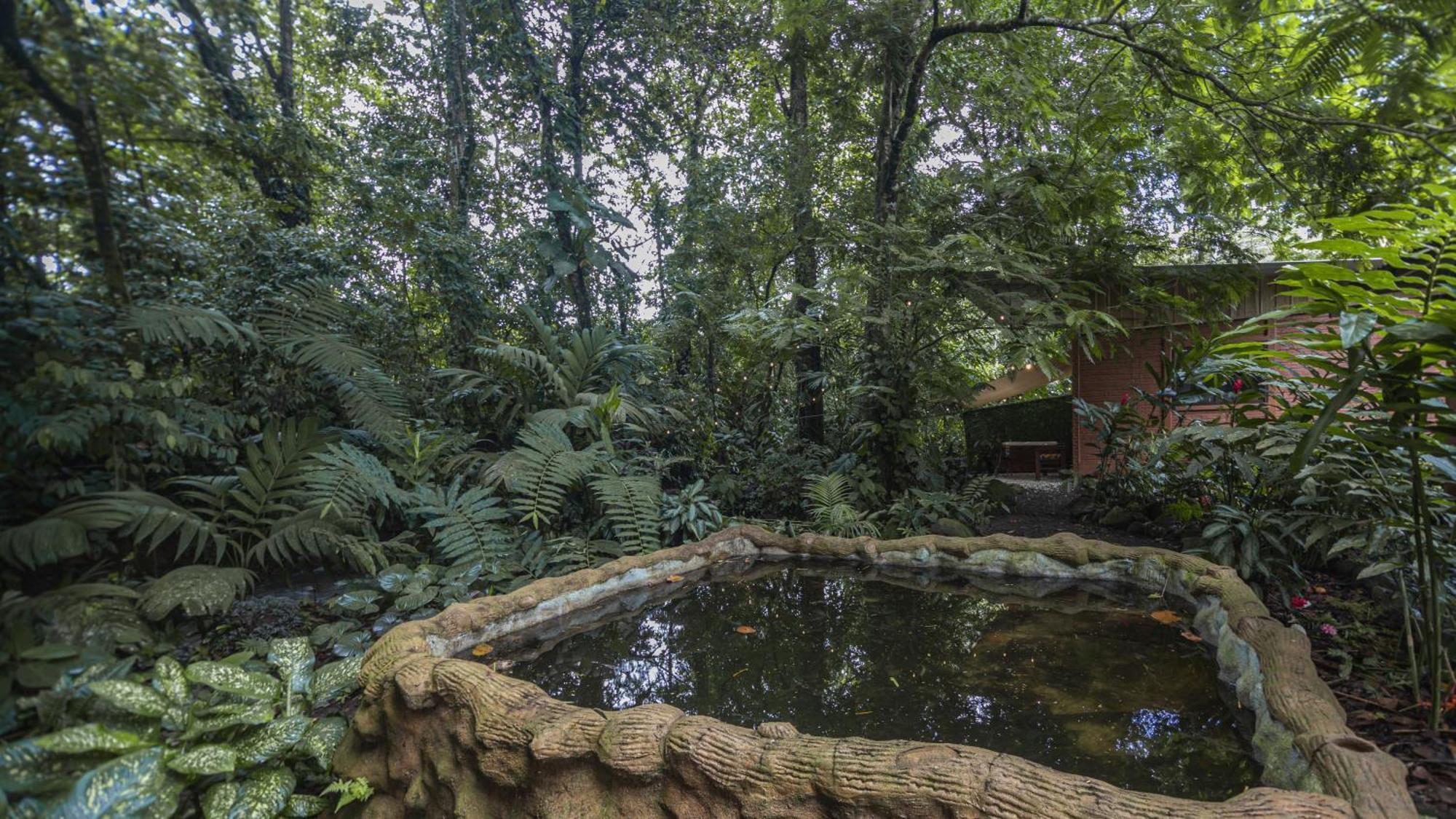 Apartamento The Frog House La Fortuna Exterior foto
