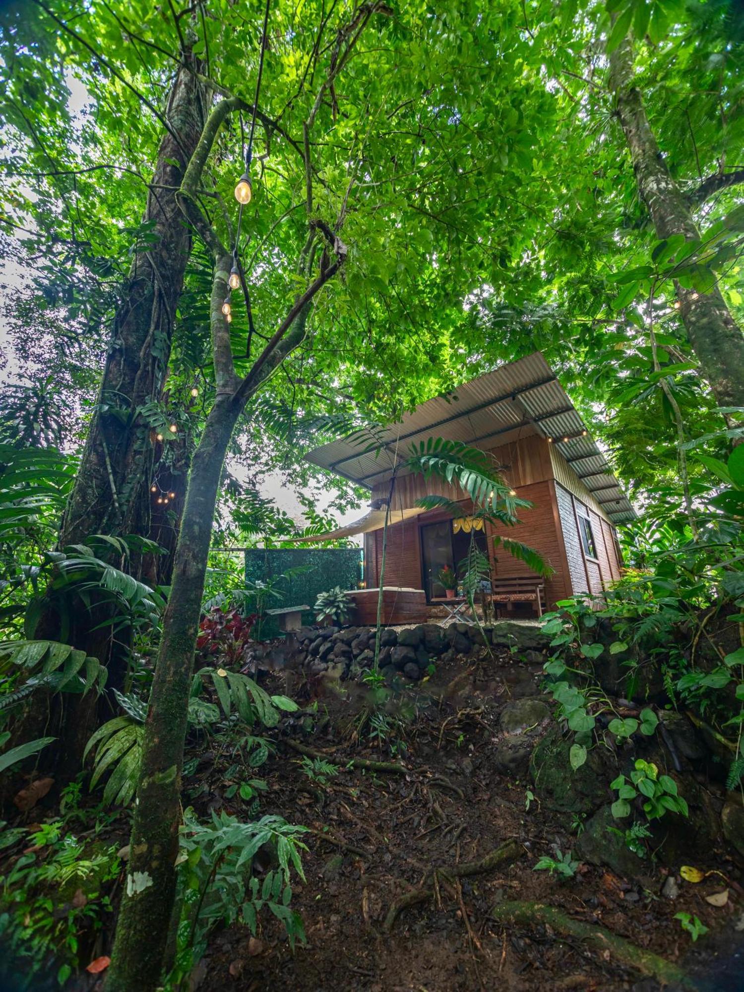 Apartamento The Frog House La Fortuna Exterior foto